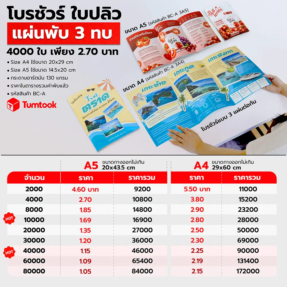 โบรชัวร์ พับ3ตอน