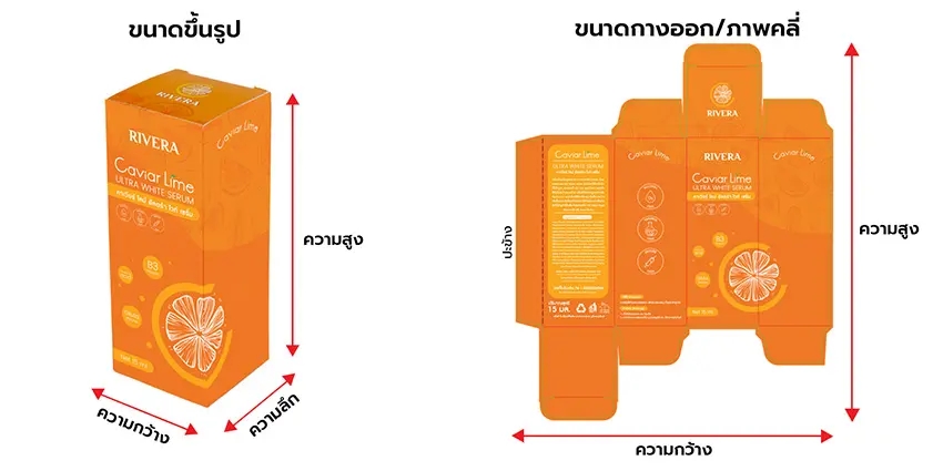 PA-A Box Diagram