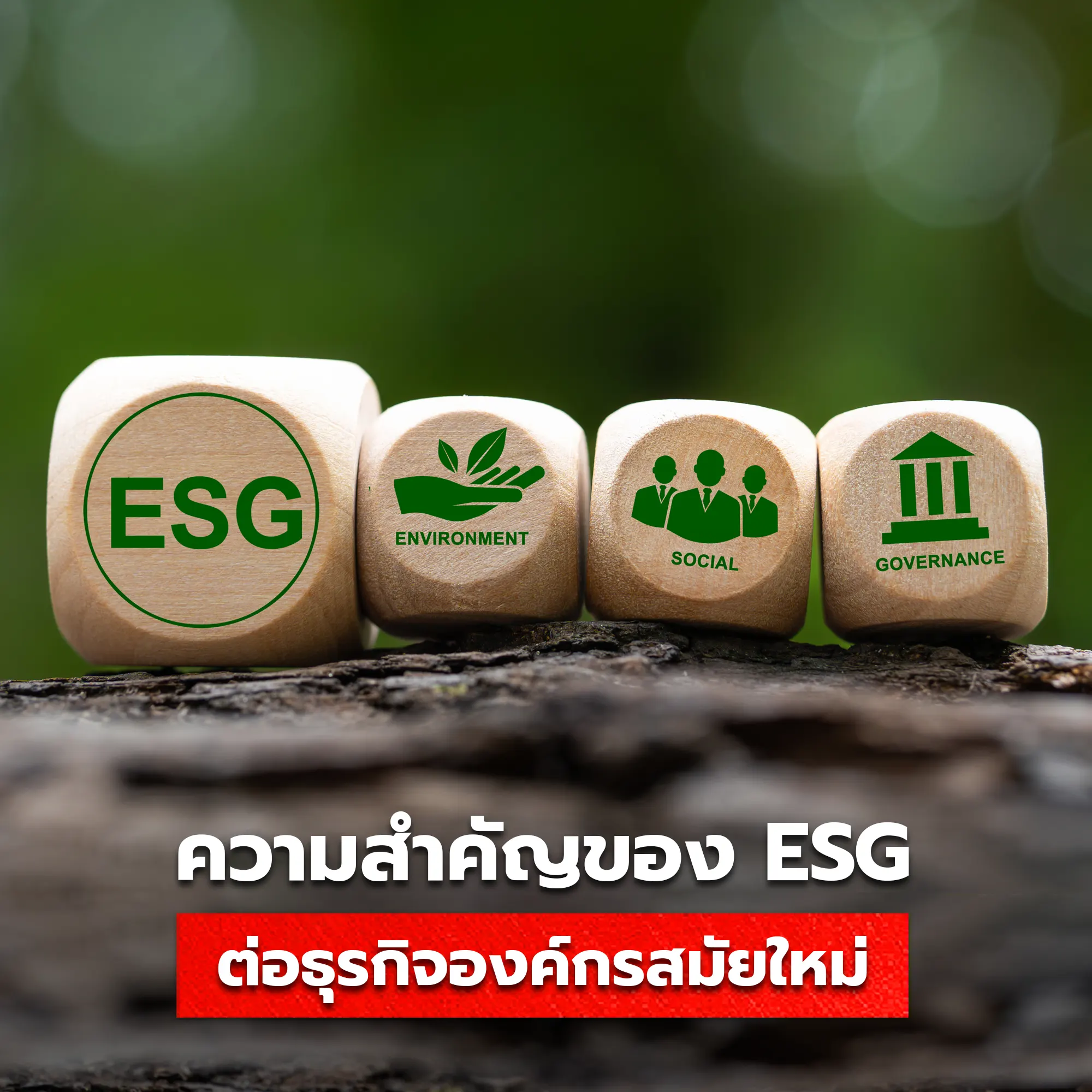 ESG คืออะไร สำคัญอย่างไร