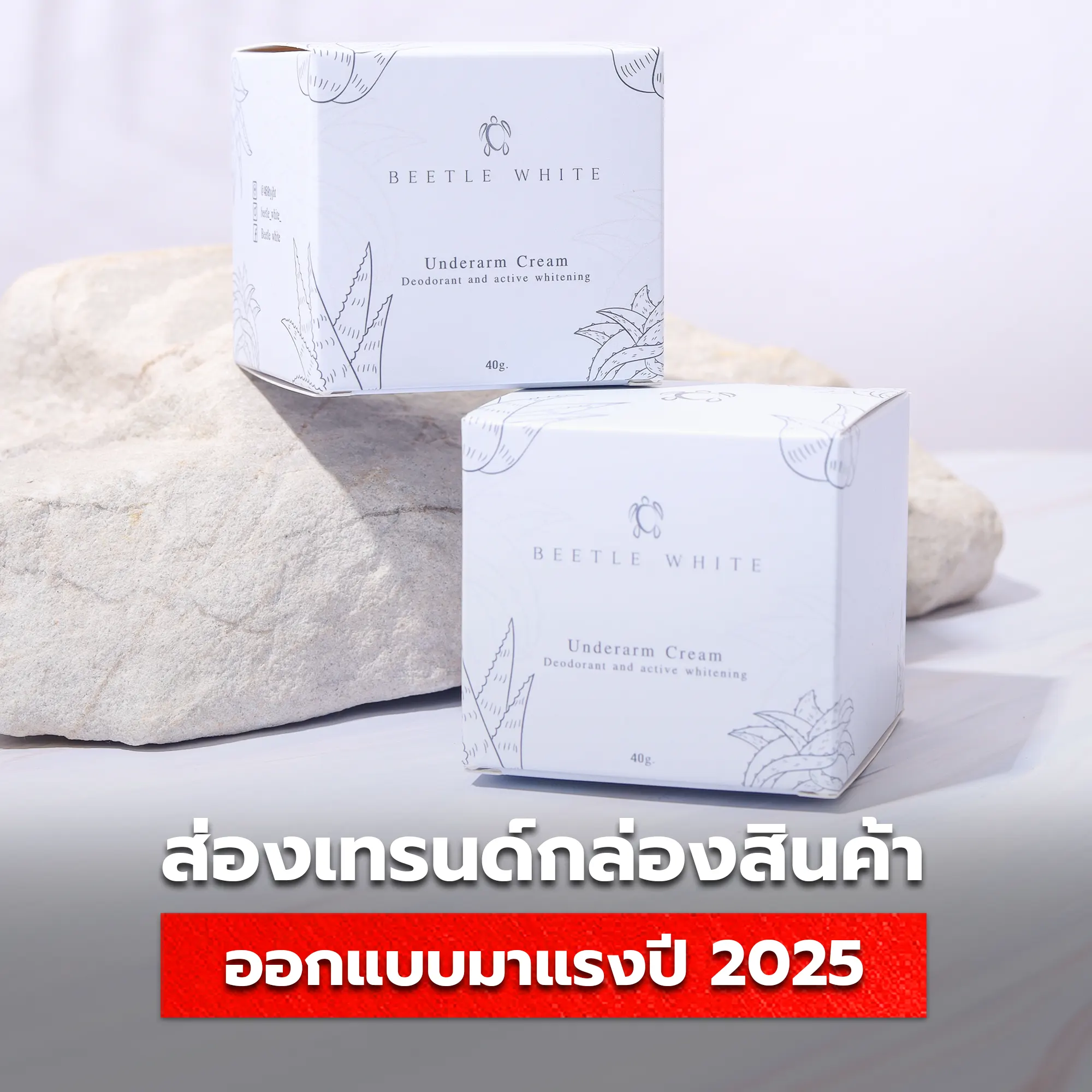 การออกแบบกล่องกระดาษที่จะฮิตในปี 2025