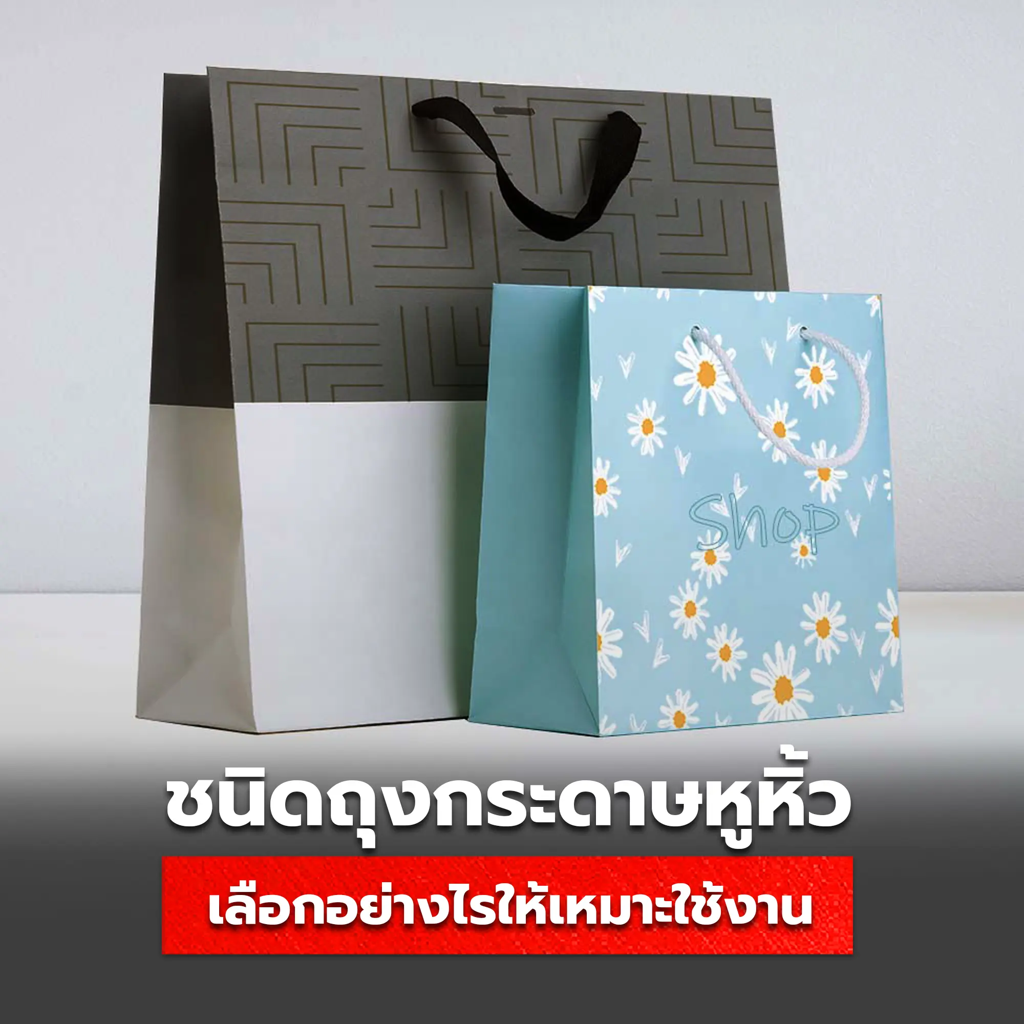 ชนิดของถุงกระดาษหูหิ้ว เลือกอย่างไรให้ตรงการใช้งาน