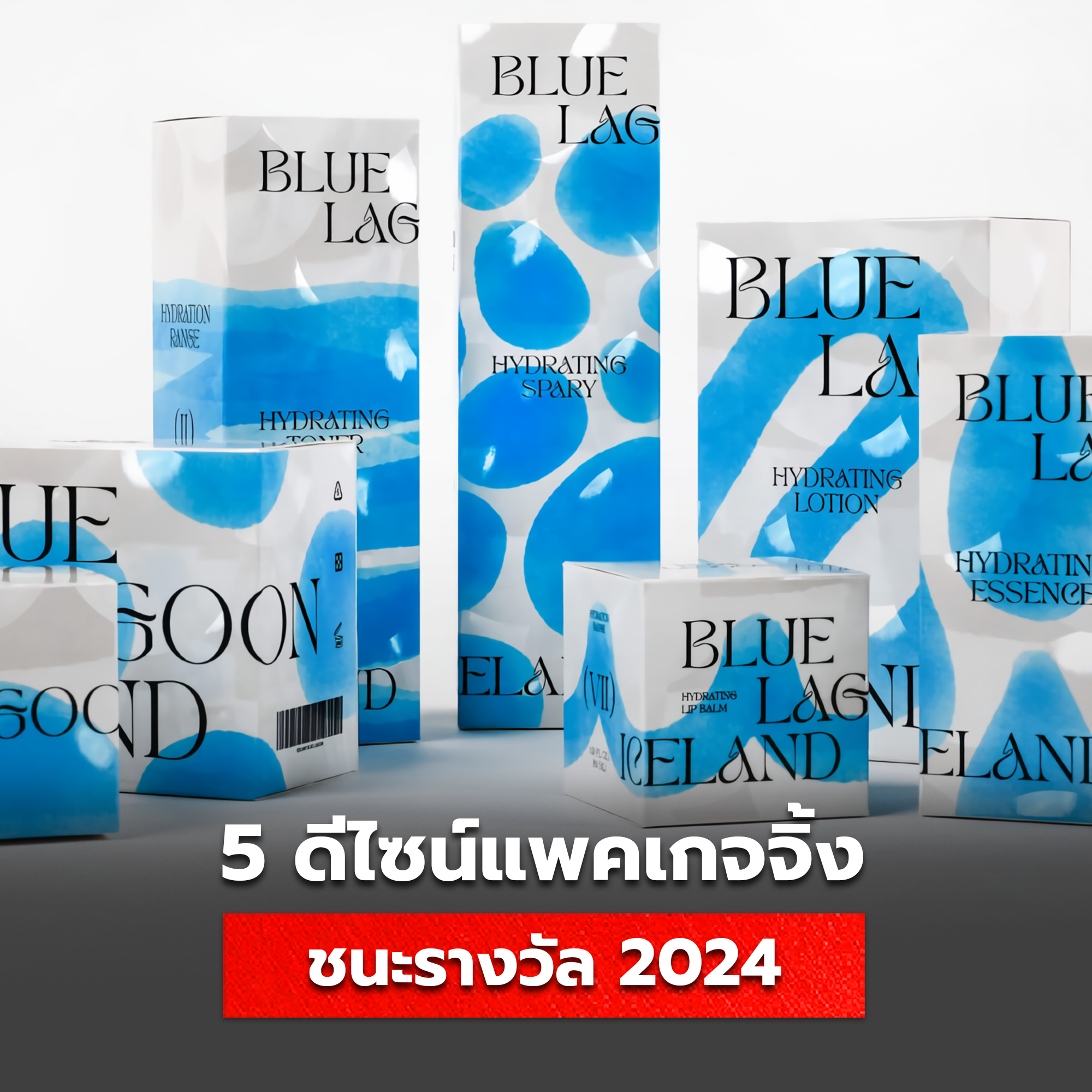 แพคเกจจิ้งที่ออกแบบชนะเลิศแห่งปี 2024